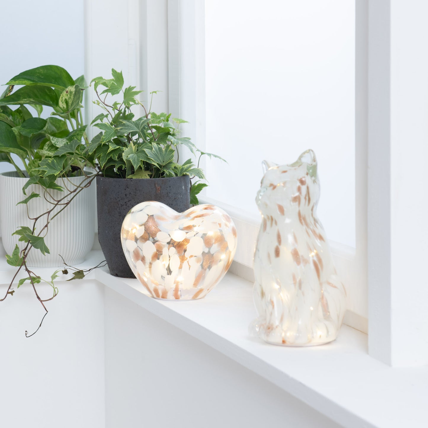 Chat LED Blanc et Or - Amadeus