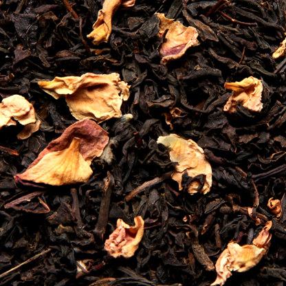 Paradis sur Terre - Compagnie Coloniale