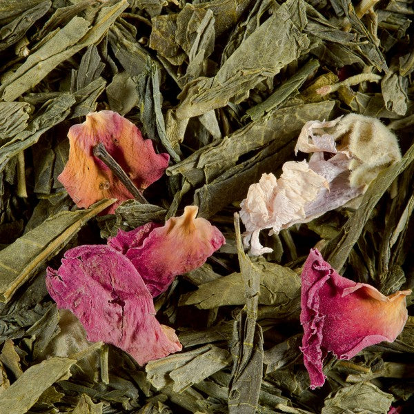 Printemps Eternel - Dammann Frères