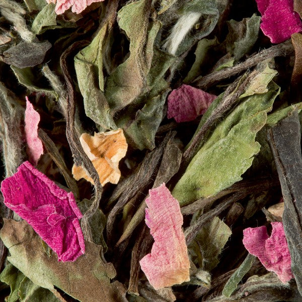 Pêchers en Fleurs - Dammann Frères