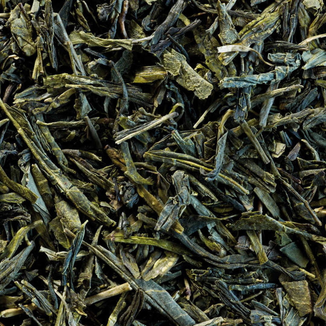 Darjeeling Vert Bio - Compagnie Coloniale