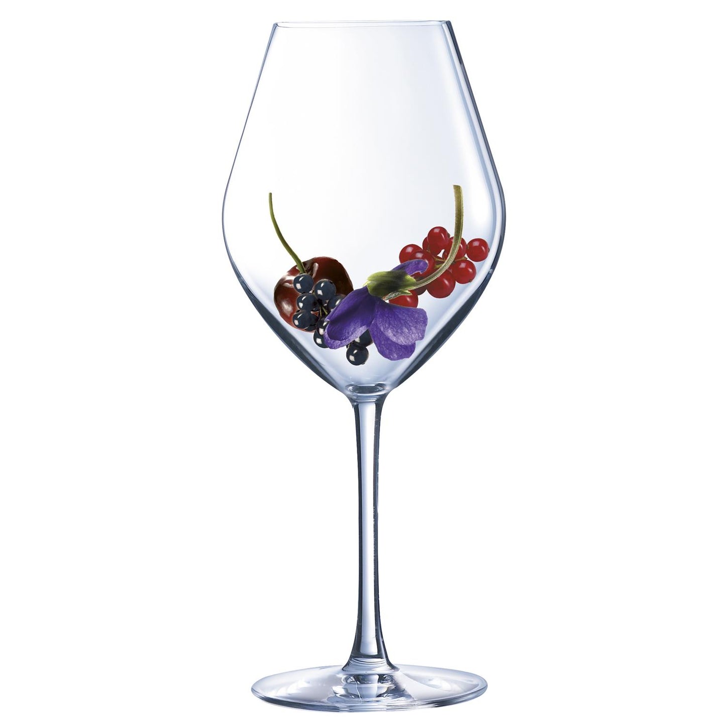 Boite de 6 verres à pied 25 cl Arom up - Chef & Sommelier