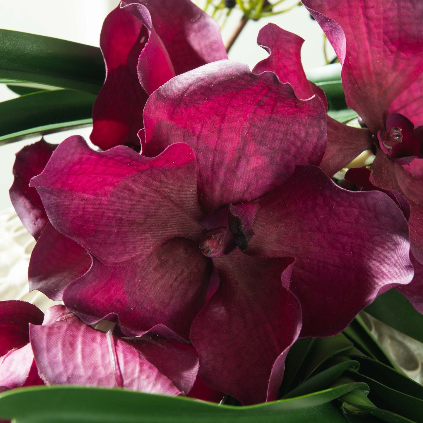 Orchidee vanda tessellata 52 cm - Lou de Castellane