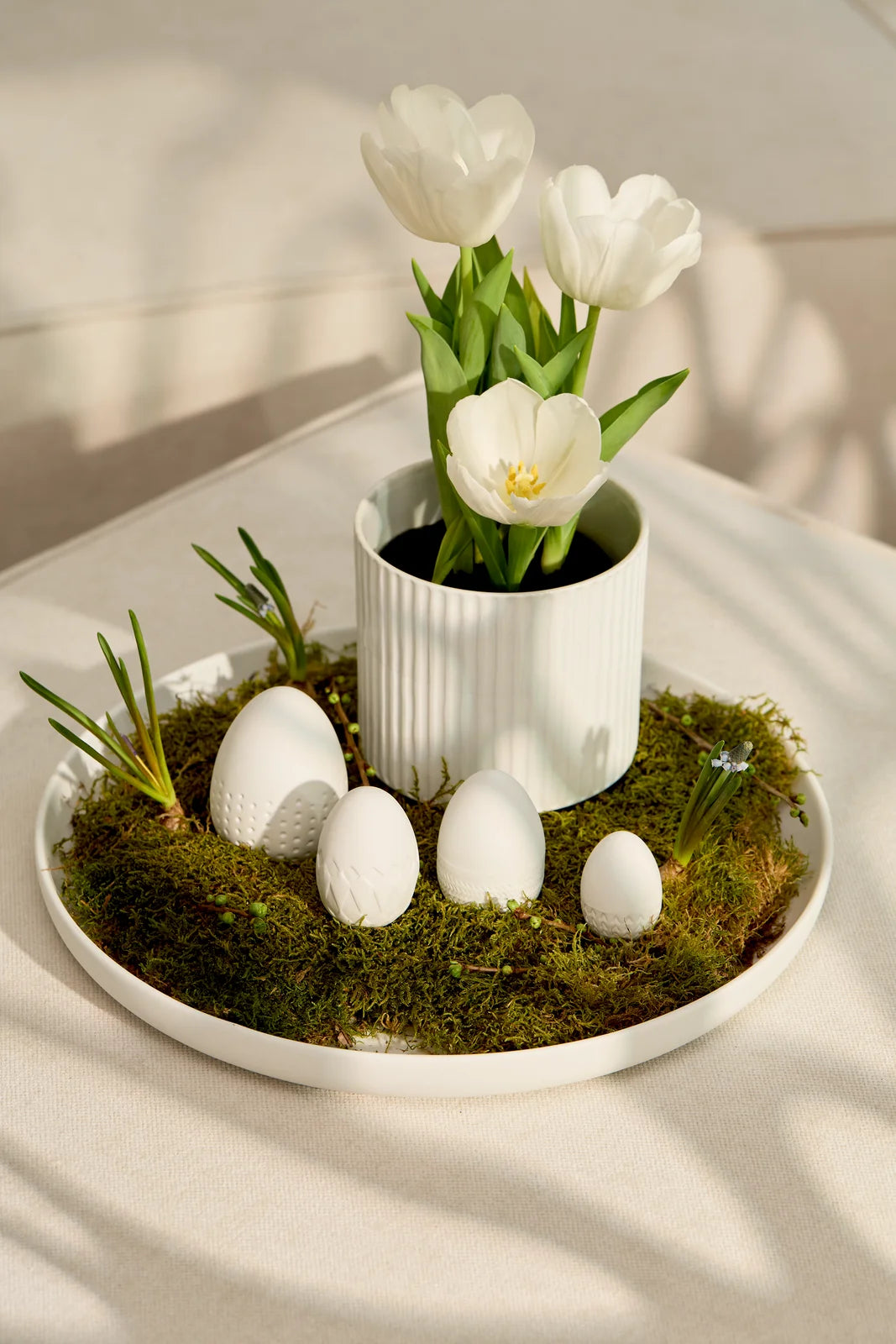 Set de 4 œufs en porcelaine Räder