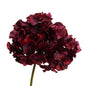 Hortensia altona h48 bo