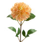 Dahlia Sunday - Lou de Castelanne