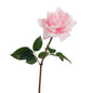 Rose eternelle reality h58 rsc