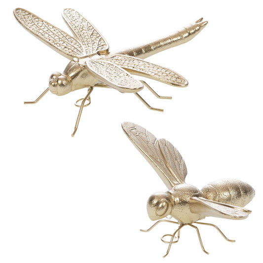Insectes enchantés - Amadeus