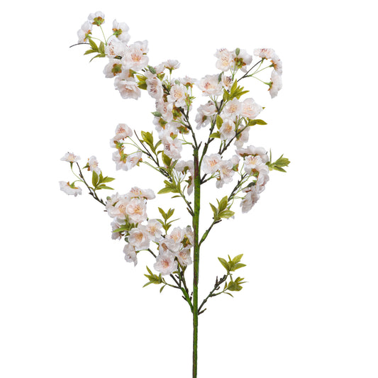 Cerisier cerasifera blanc - Lou de Castellane