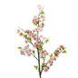 Cerisier cerifera rose - Lou de Castellane