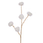 Coton perle h76 bc/or