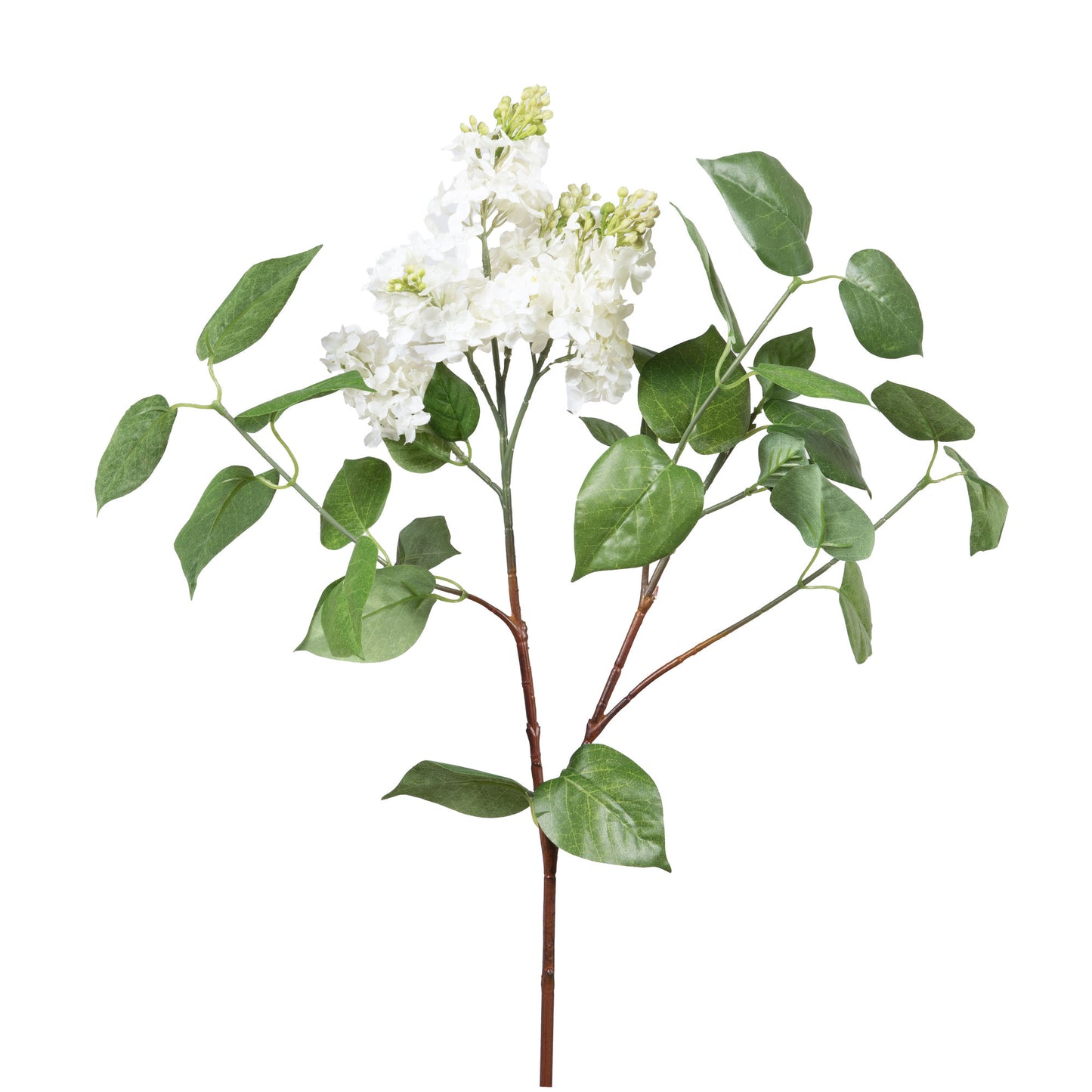 Lilas jardin - Lou de Castellane