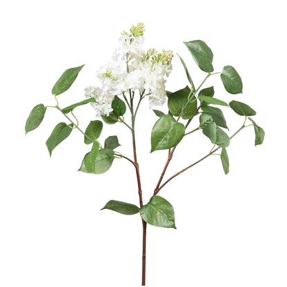 Lilas jardin - Lou de Castellane