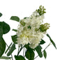 Lilas jardin - Lou de Castellane