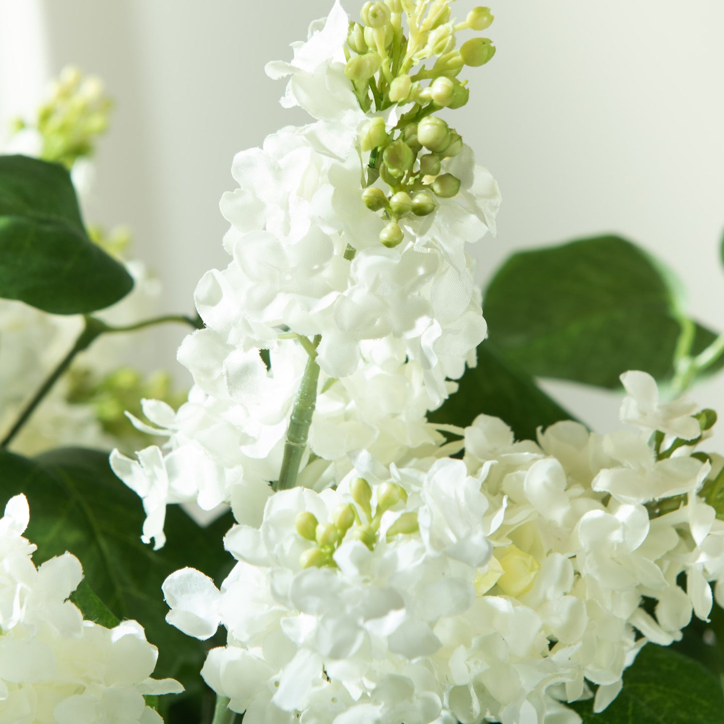 Lilas jardin - Lou de Castellane