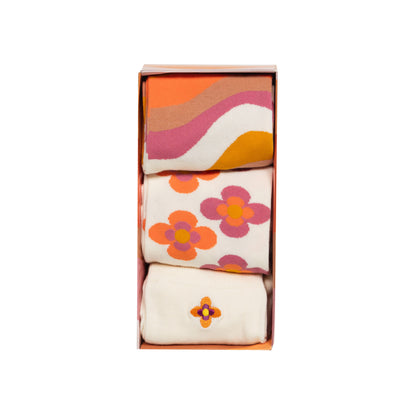 Coffret de chaussettes 3 paires - Amadeus