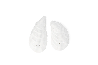 Salière et poivrière huître 9,5 x 4,5 x 3 cm Räder porcelaine blanche