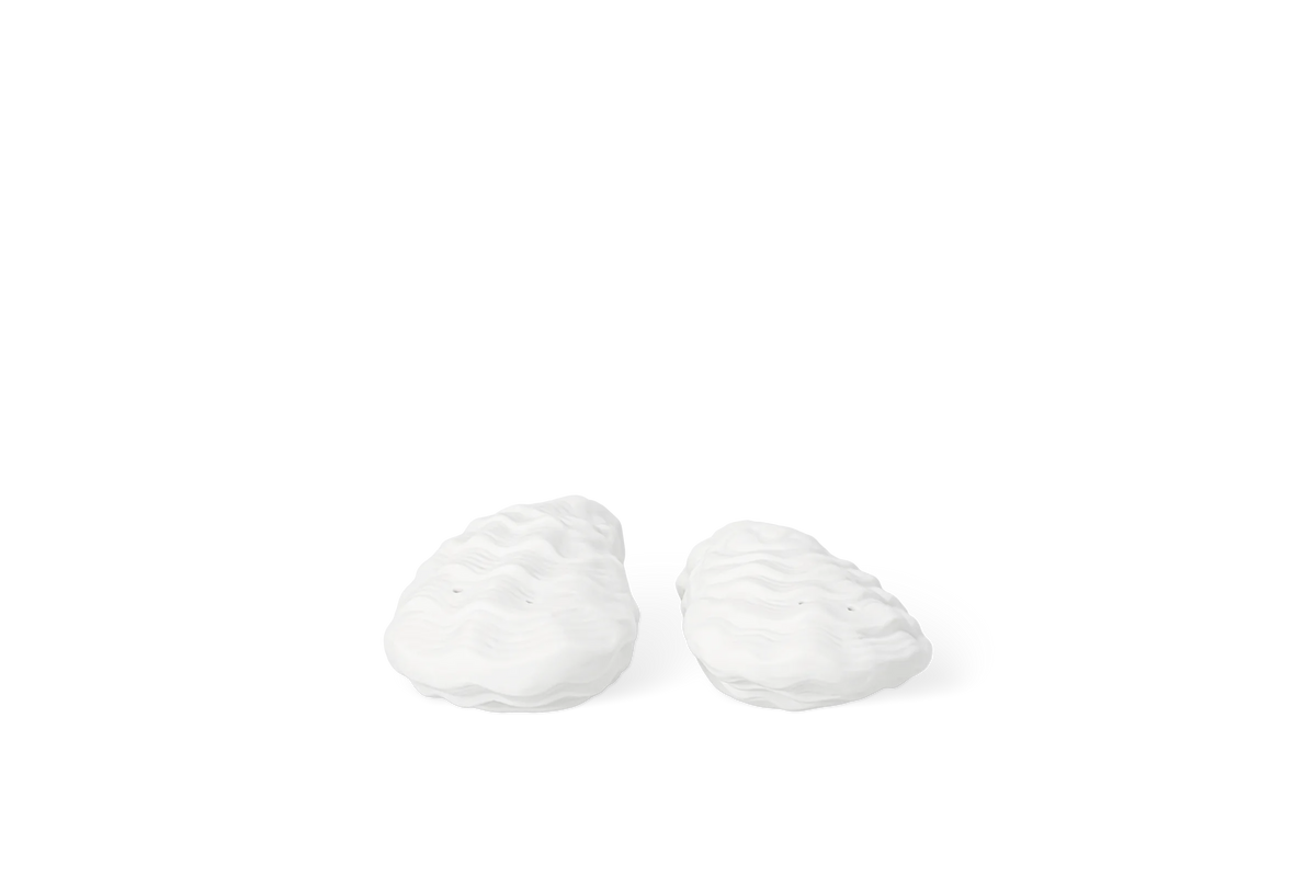 Salière et poivrière huître 9,5 x 4,5 x 3 cm Räder porcelaine blanche