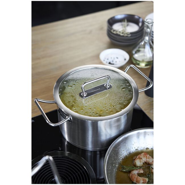 Marmite 24 cm, Inox 18/10 Pro - Zwilling