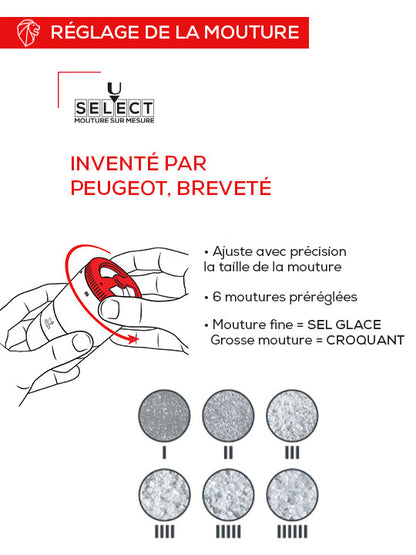 Bar à sels Maestro - Peugeot