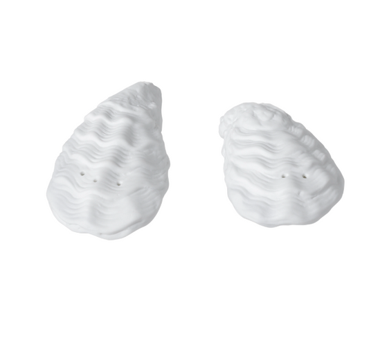 Salière et poivrière huitre 9,5 x 4,5 x 3 cm - Rader