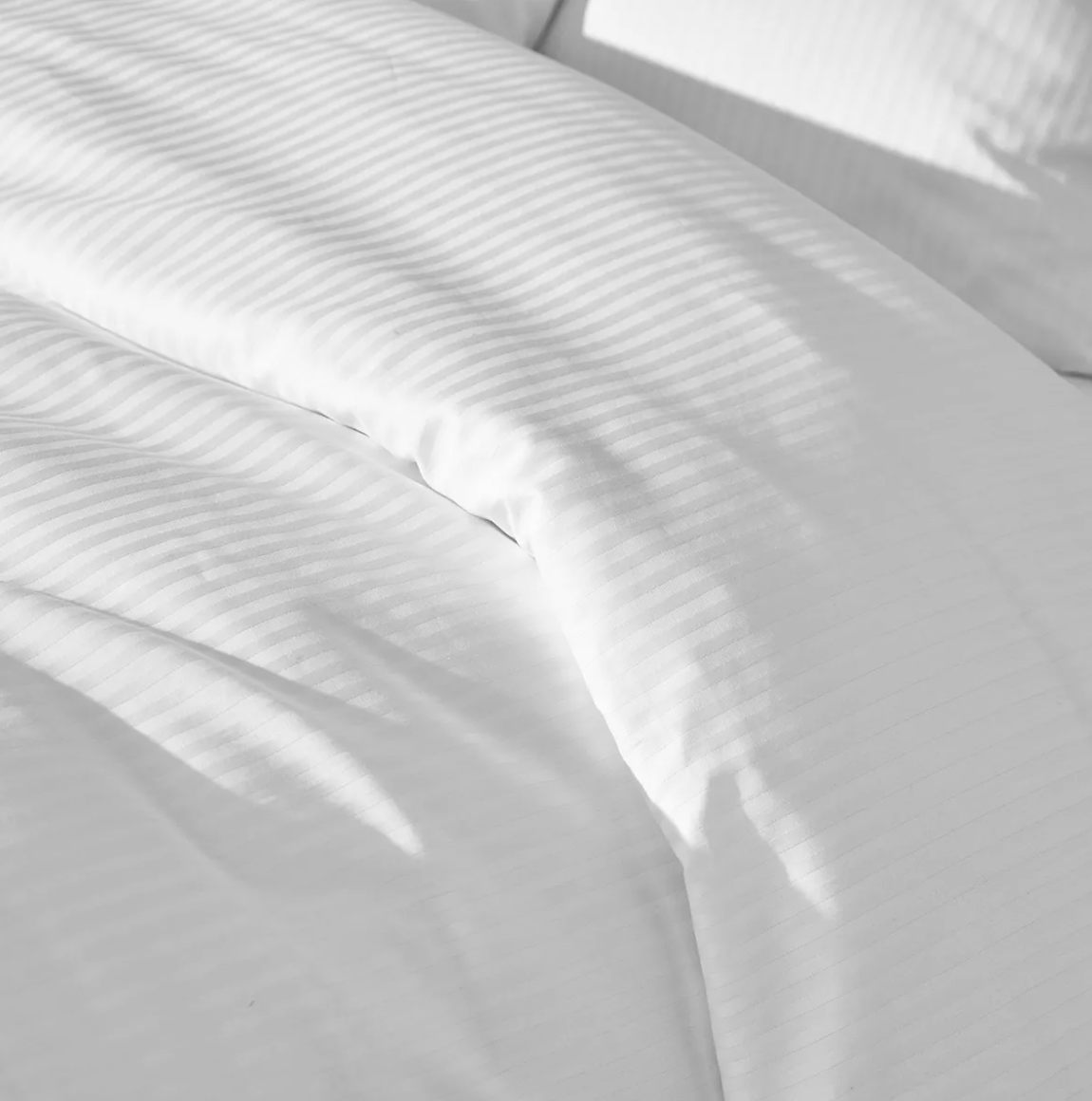 Palace rayé blanc - Garnier Thiebaut