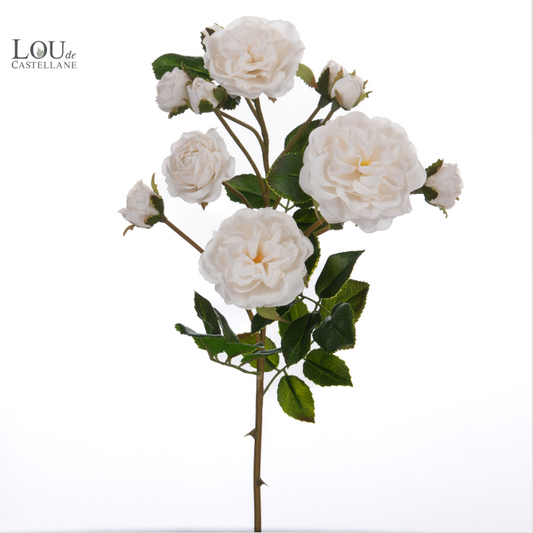 Rose jardin reality - Lou de Castellane