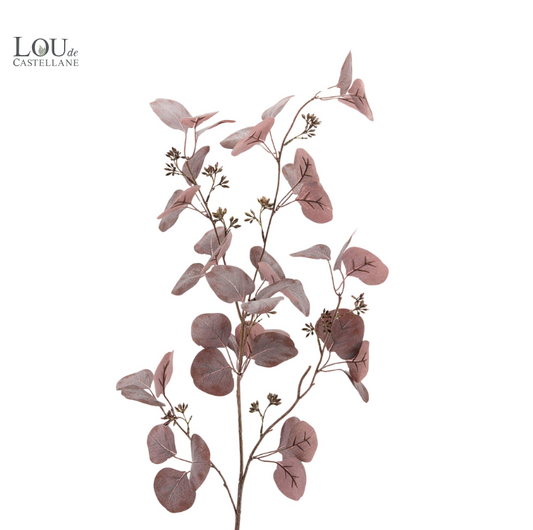Eucalyptus Gunii - Lou de Castellane