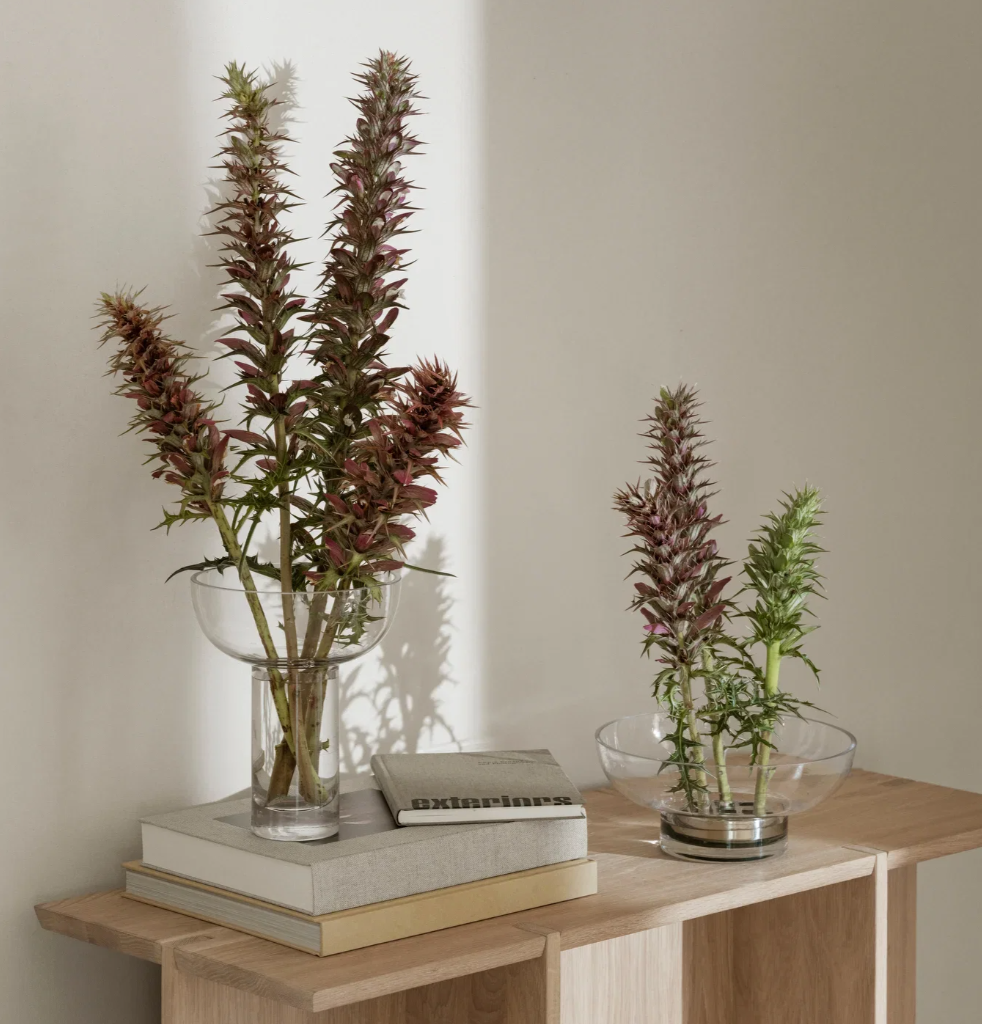 Vase Miyabi Clear M - Blomus