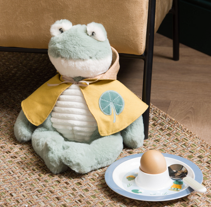 Mr grenouille et sa cape - Amadeus