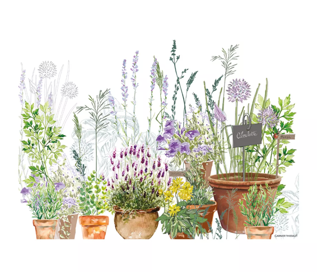 Set de table Jardin aromatique provence - Garnier Thiebaut