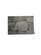 Assiette enfant éléphant Räder porcelaine