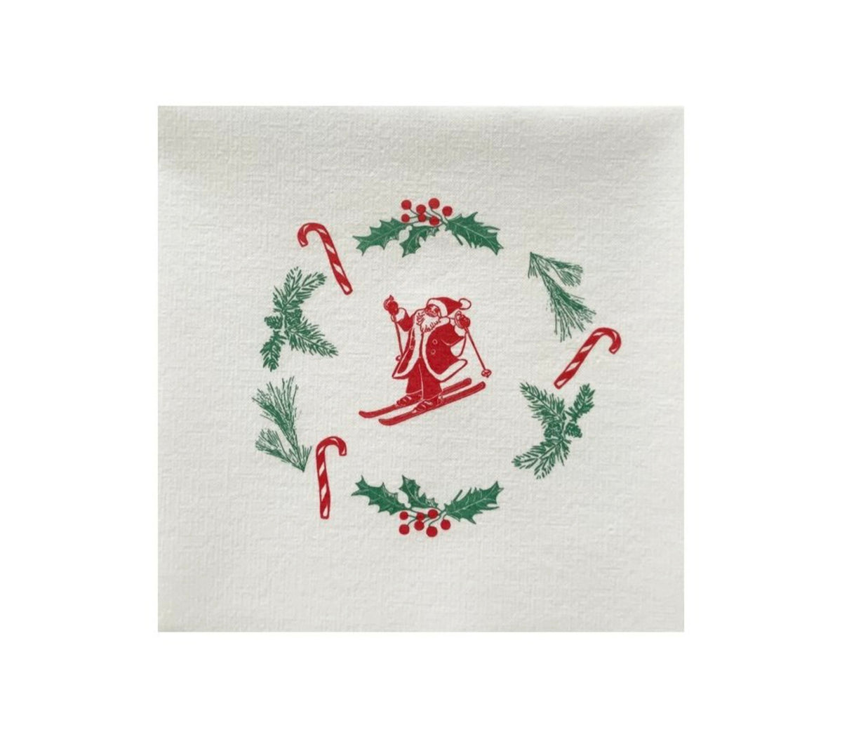 Pere noel ski 40x40 - Francoise Paviot