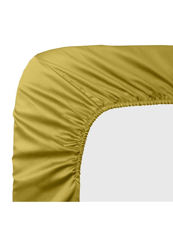 DRAP HOUSSE B30 AVA CURRY