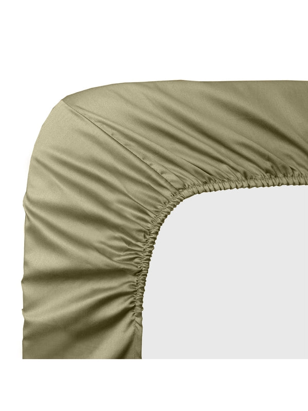 DRAP HOUSSE B40 AVA MORDORE