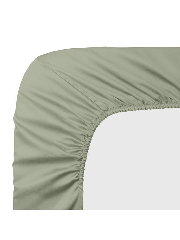 DRAP HOUSSE B50 AVA LICHEN