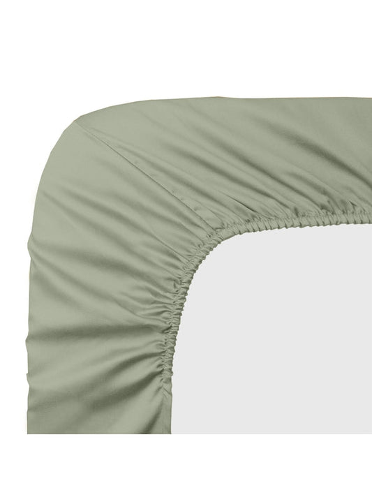 DRAP HOUSSE B50 AVA LICHEN