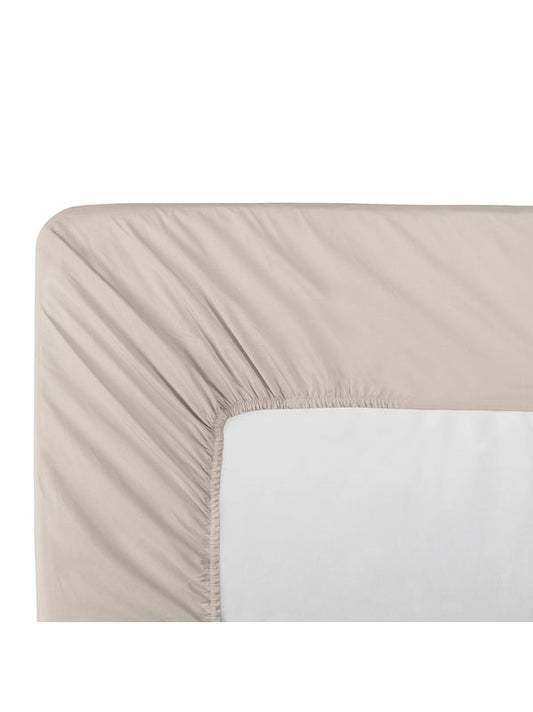 DRAP HOUSSE DUO OLANA LIN