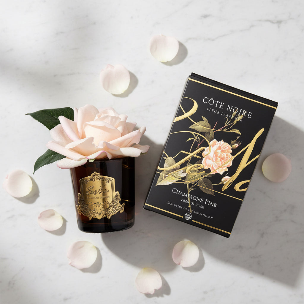 French Rose Champagne Pink - Black Glass with Gold Badge