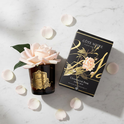 French Rose Champagne Pink - Black Glass with Gold Badge