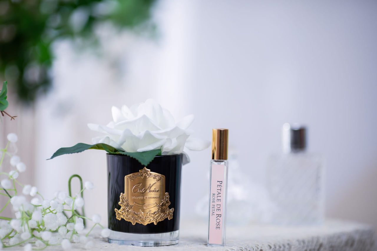 French Rose Ivory - BLACK Glass with  GOLD