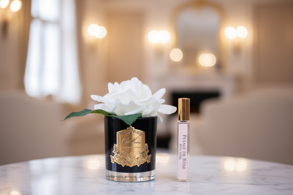French Rose Ivory - BLACK Glass with  GOLD