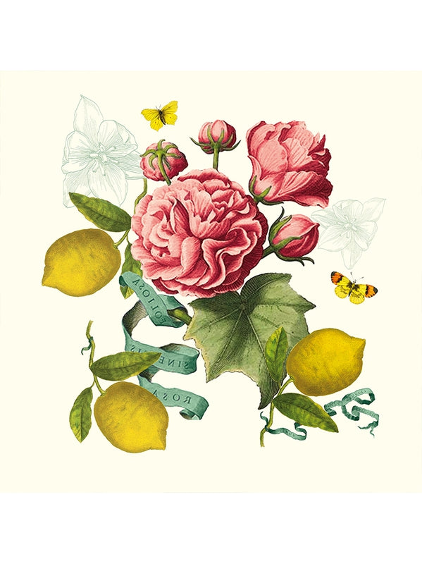 Serviette de table 45x45 motif Citrons de Menton multicolore en coton lin