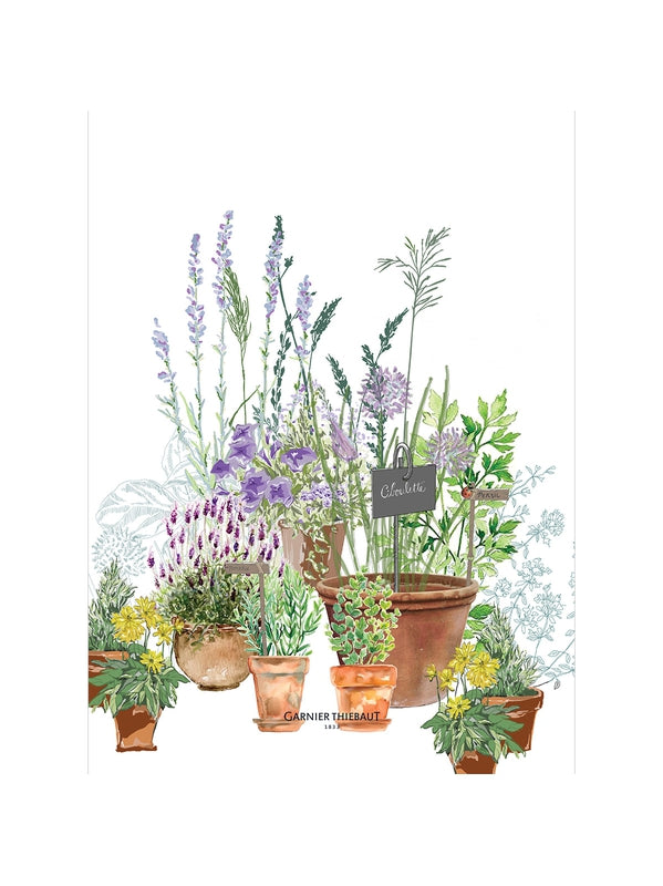 Torchon cuisine Jardin Aromatique Provence multicolore 50x70 en coton lin