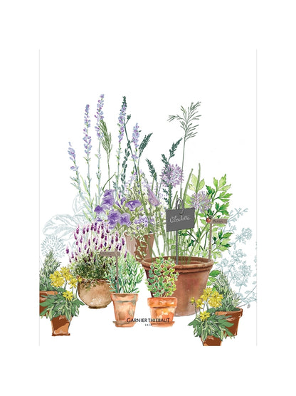 Torchon cuisine Jardin Aromatique Provence multicolore 50x70 en coton lin