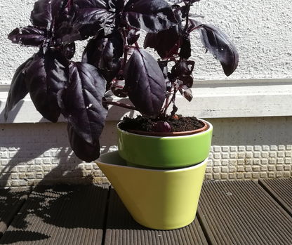 Pot à herbes Planty Green - Villeroy & Boch