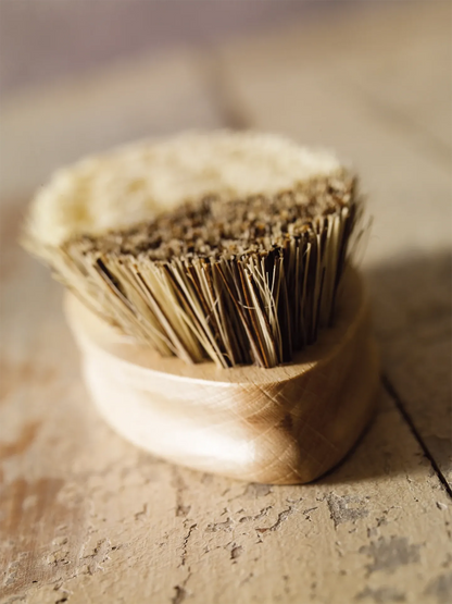 Brosse à légume - Redecker