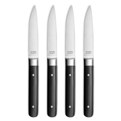 Coffret 4 steak fusion - Amefa