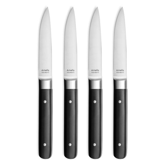 Coffret 4 steak fusion - Amefa