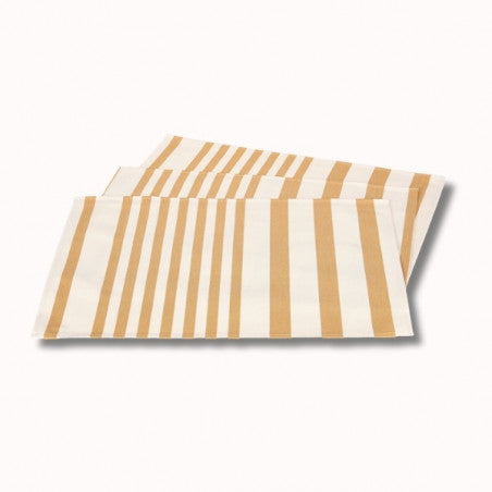 Set en toile enduite adour curry 47x35cm